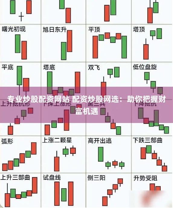 专业炒股配资网站 配资炒股网选：助你把握财富机遇