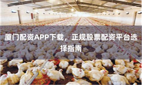 厦门配资APP下载，正规股票配资平台选择指南