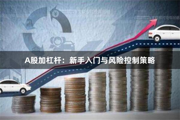 A股加杠杆：新手入门与风险控制策略